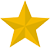 icon star